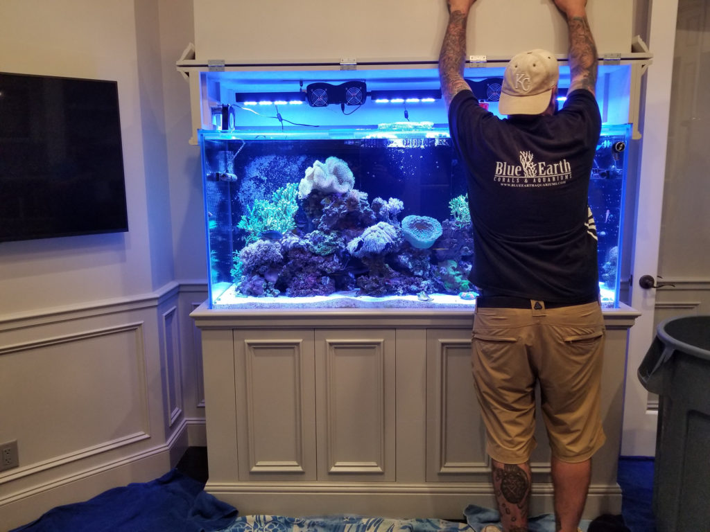 aquarium installation san marcos 