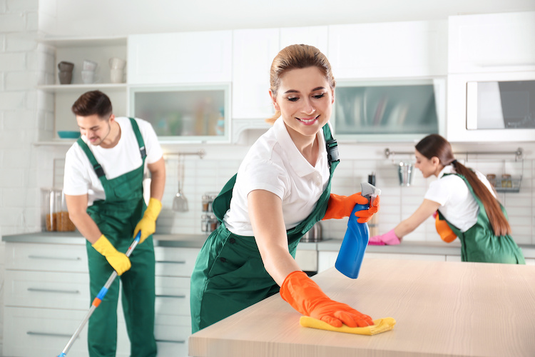 Deep cleaning guide
